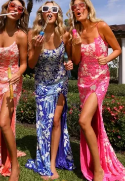 4553^Primavera Online