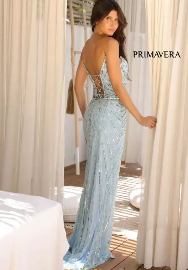 4301^Primavera Online