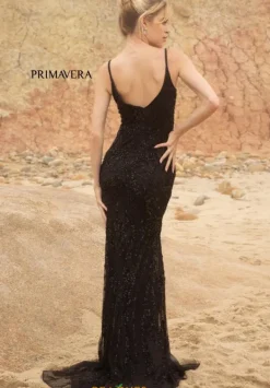 3793^Primavera Discount