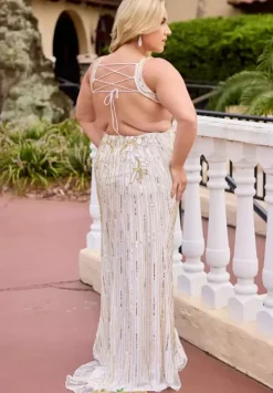 14104^Primavera Online