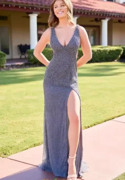 4536^Primavera Online