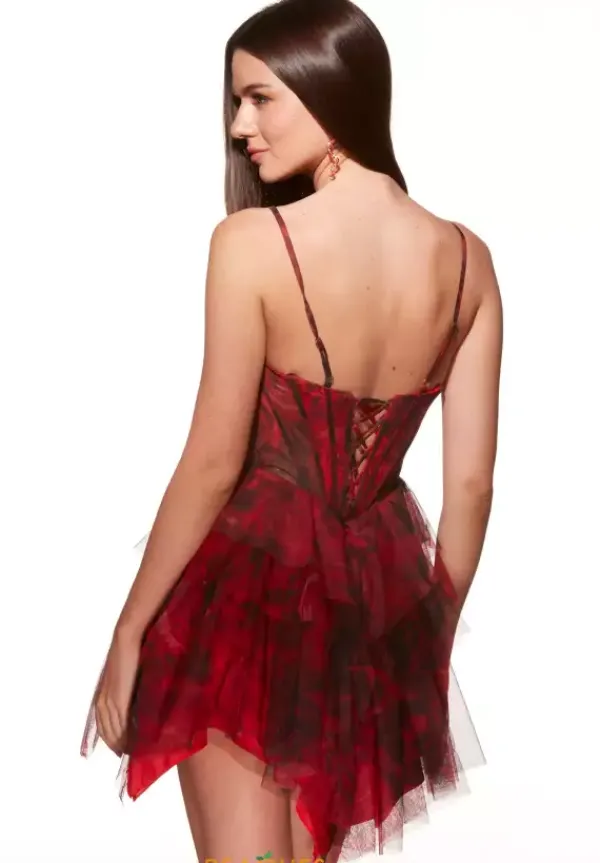 Scoop Neckline A Line Dress 30056^Alyce Best