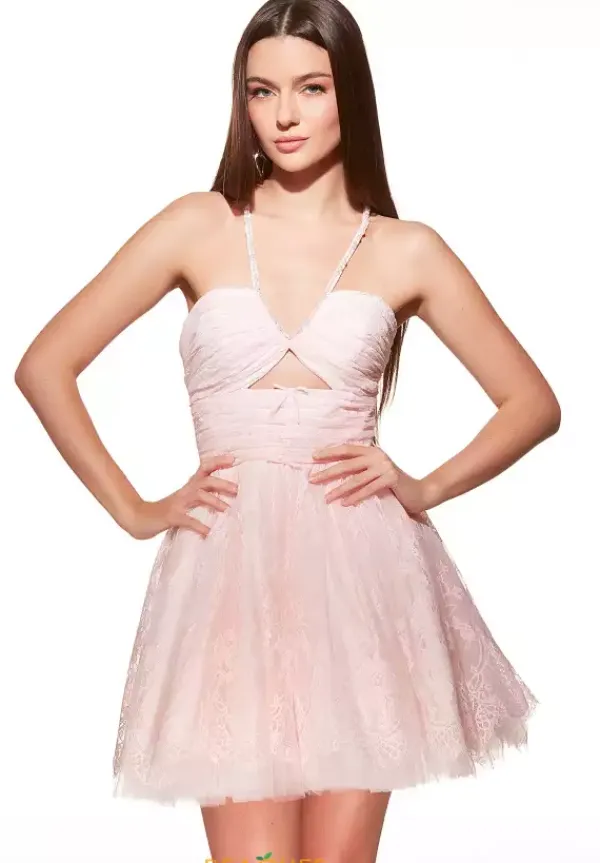 Short V Neckline A Line Dress 30030^Alyce New