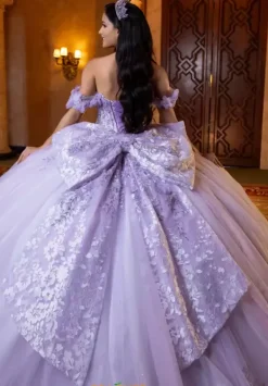 Quinceanera 4080032^Vizcaya
