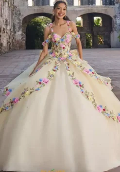 Quinceanera 89545^Vizcaya Hot