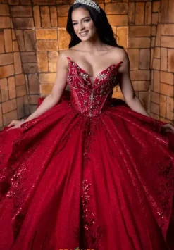 Quinceanera 4080025^Vizcaya Hot