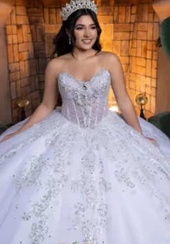 Quinceanera 4080008^Vizcaya Sale
