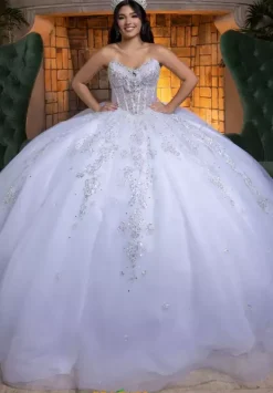 Quinceanera 4080008^Vizcaya Sale