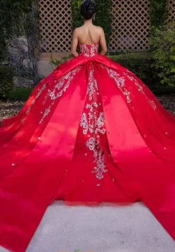 Quinceanera 4080008^Vizcaya Sale