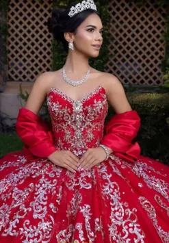 Quinceanera 4080008^Vizcaya Sale