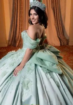 Quinceanera 4080006^Vizcaya Discount