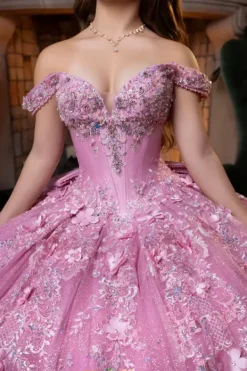 Quinceanera 4080029^Vizcaya Hot