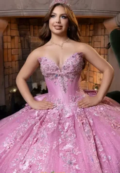 Quinceanera 4080029^Vizcaya Hot