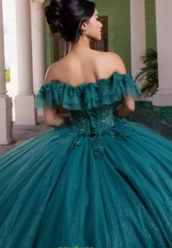 Quinceanera 4080015^Vizcaya Best