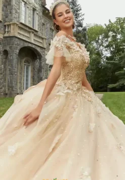 Quinceanera 89404^Vizcaya