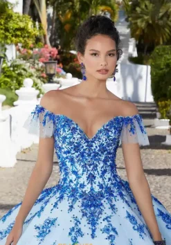 Quinceanera 89365^Vizcaya Online