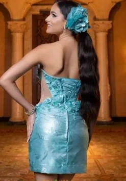 Quinceanera 4080031^Vizcaya New