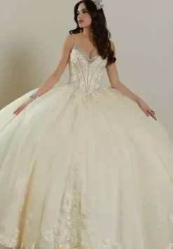 Quinceanera 89482^Vizcaya Sale