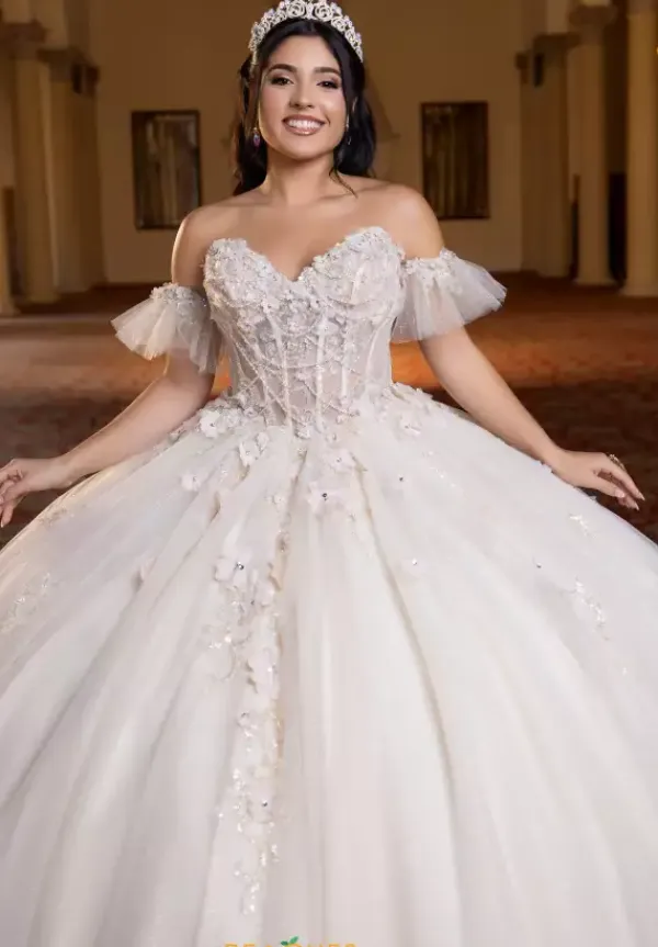Quinceanera 4080023^Vizcaya Sale