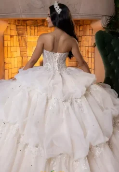 Quinceanera 4080014^Vizcaya Sale