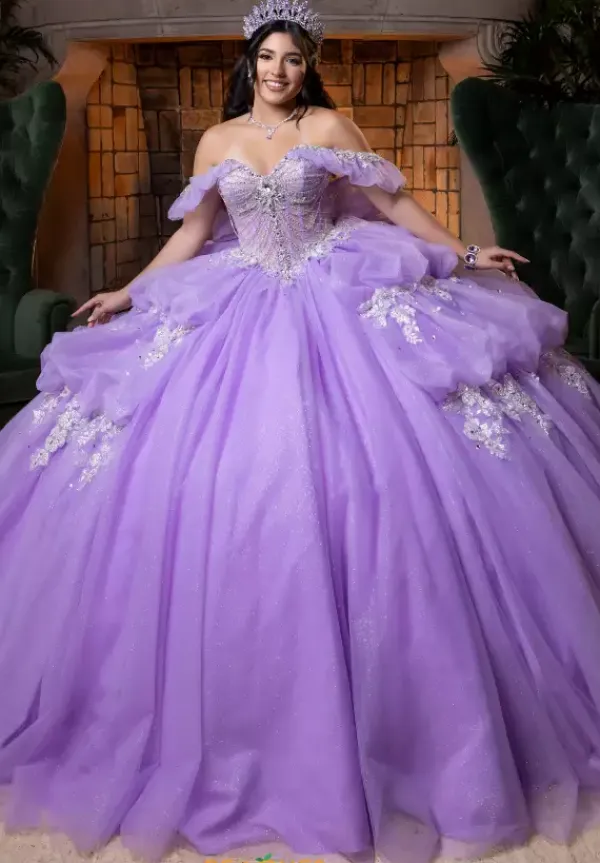 Quinceanera 4080014^Vizcaya Sale