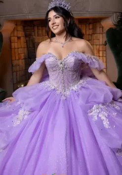 Quinceanera 4080014^Vizcaya Sale