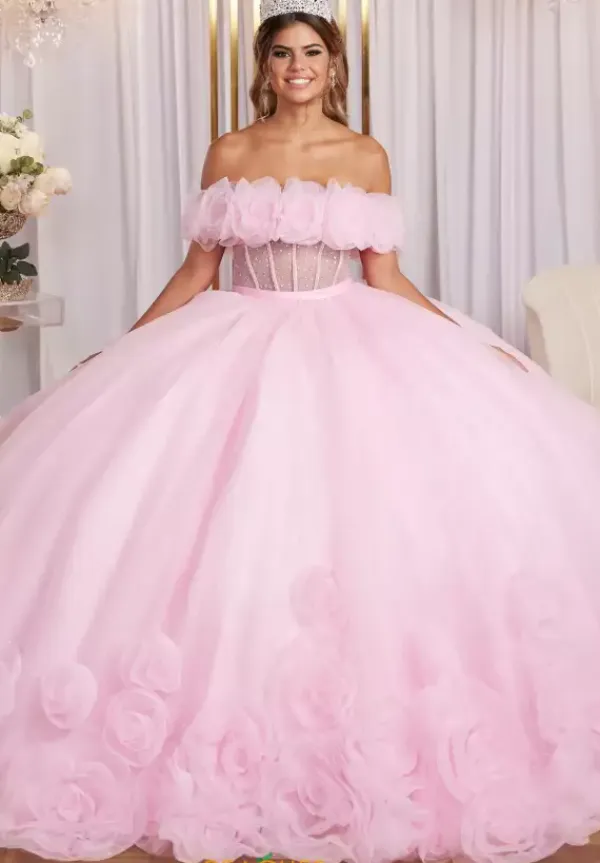 Quinceanera 89524^Vizcaya Online