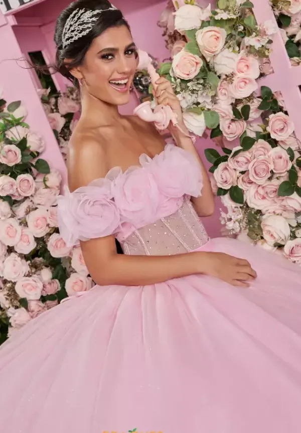 Quinceanera 89524^Vizcaya Online