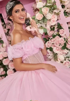 Quinceanera 89524^Vizcaya Online