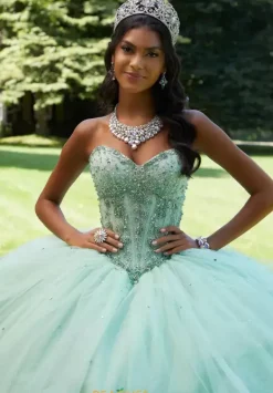 Quinceanera 89449^Vizcaya Sale