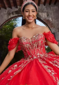 Quinceanera 89534^Vizcaya Best