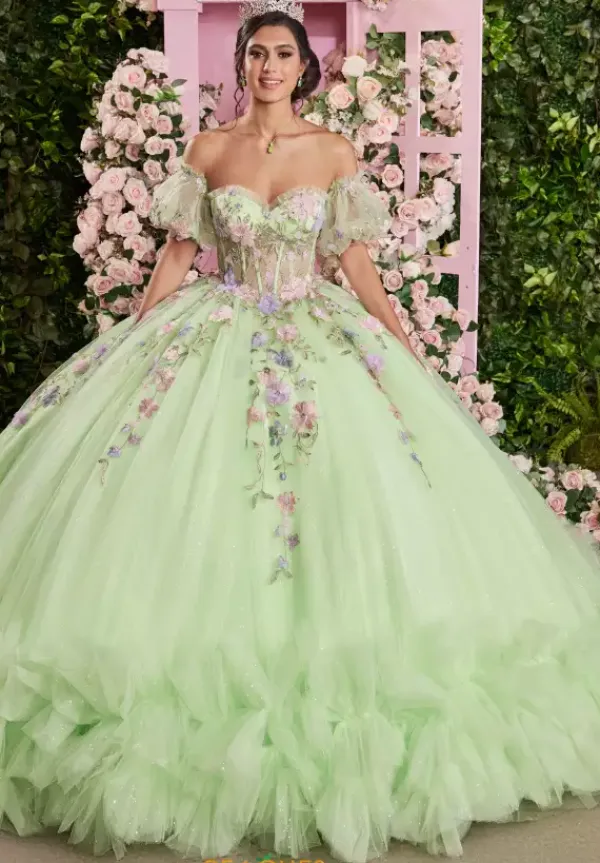 Quinceanera 89510^Vizcaya Online
