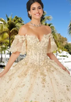 Quinceanera 89358^Vizcaya Best