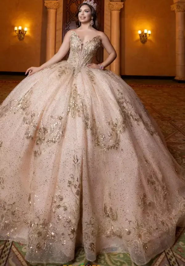 Quinceanera 4080028^Vizcaya Online