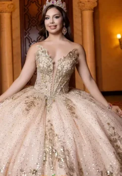 Quinceanera 4080028^Vizcaya Online