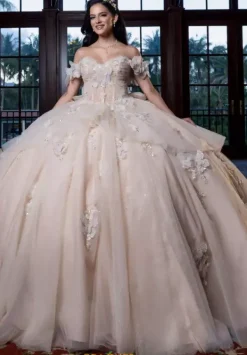 Quinceanera 4080017^Vizcaya Sale