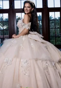Quinceanera 4080017^Vizcaya Sale
