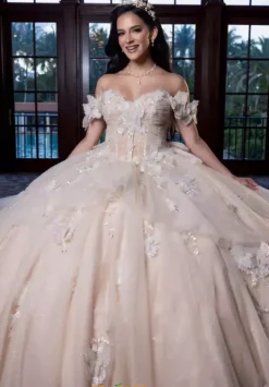 Quinceanera 4080017^Vizcaya Sale