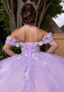 Quinceanera 4080017^Vizcaya Sale