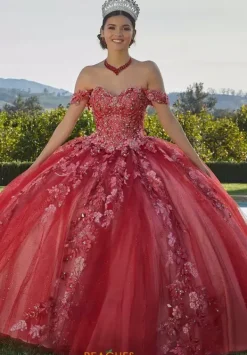 Quinceanera 34091^Vizcaya Best