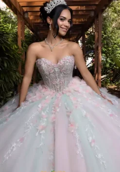 Quinceanera 4080001^Vizcaya New