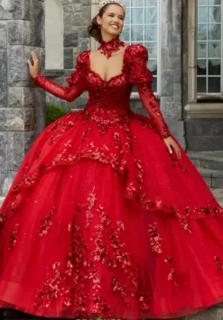 Quinceanera 60172^Vizcaya Hot