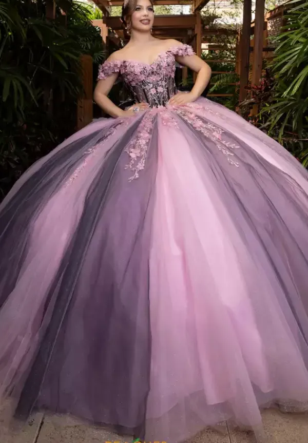 Quinceanera 4080018^Vizcaya Online