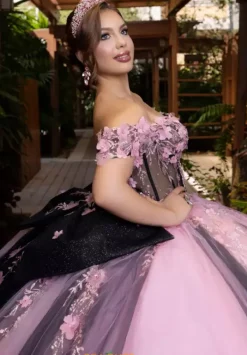 Quinceanera 4080018^Vizcaya Online
