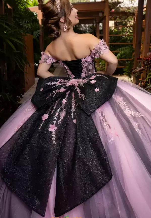 Quinceanera 4080018^Vizcaya Online