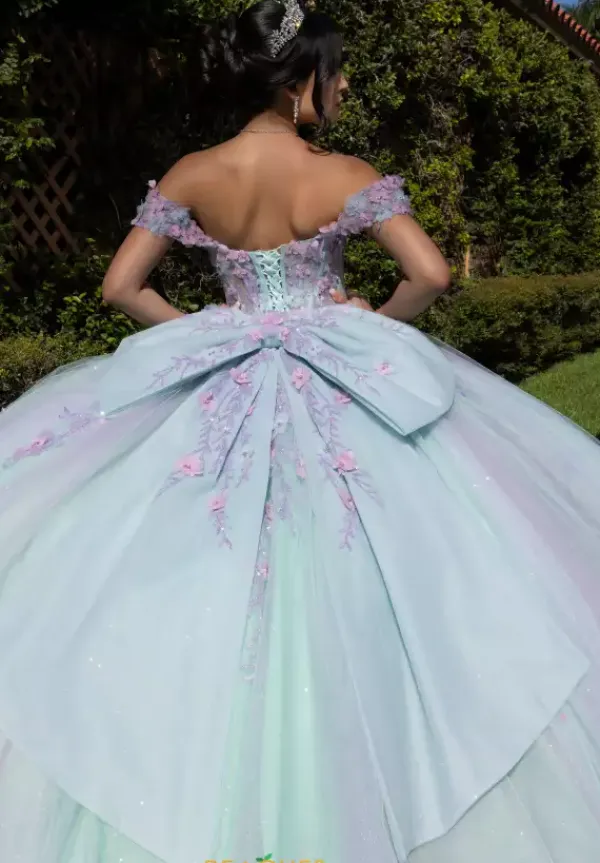 Quinceanera 4080018^Vizcaya Online
