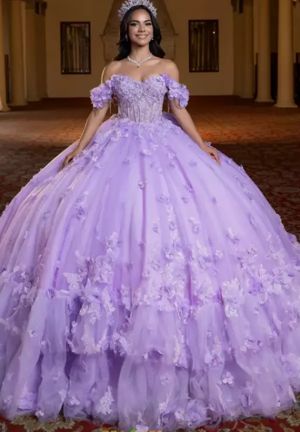 Quinceanera 4080024^Vizcaya Online