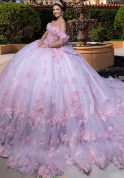 Quinceanera 4080024^Vizcaya Online