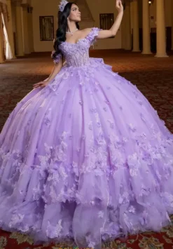 Quinceanera 4080024^Vizcaya Online