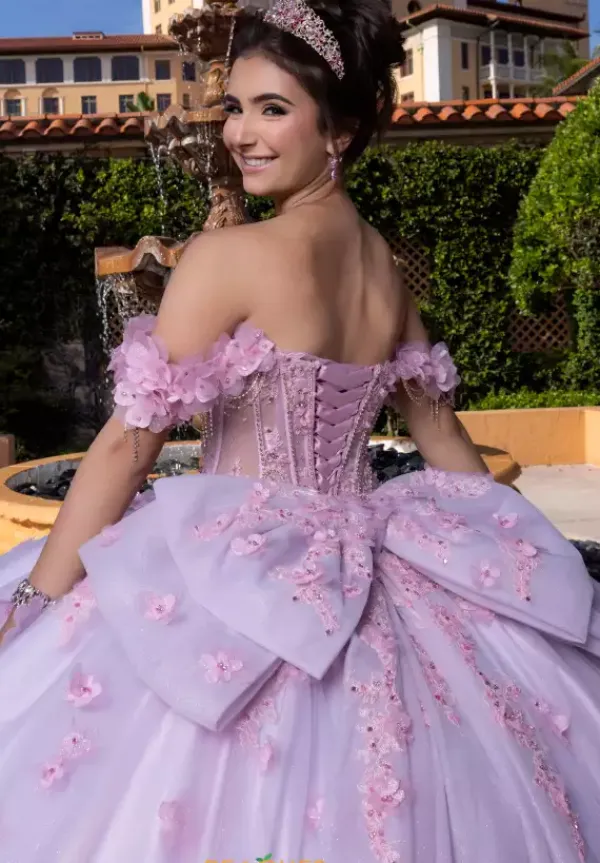 Quinceanera 4080024^Vizcaya Online